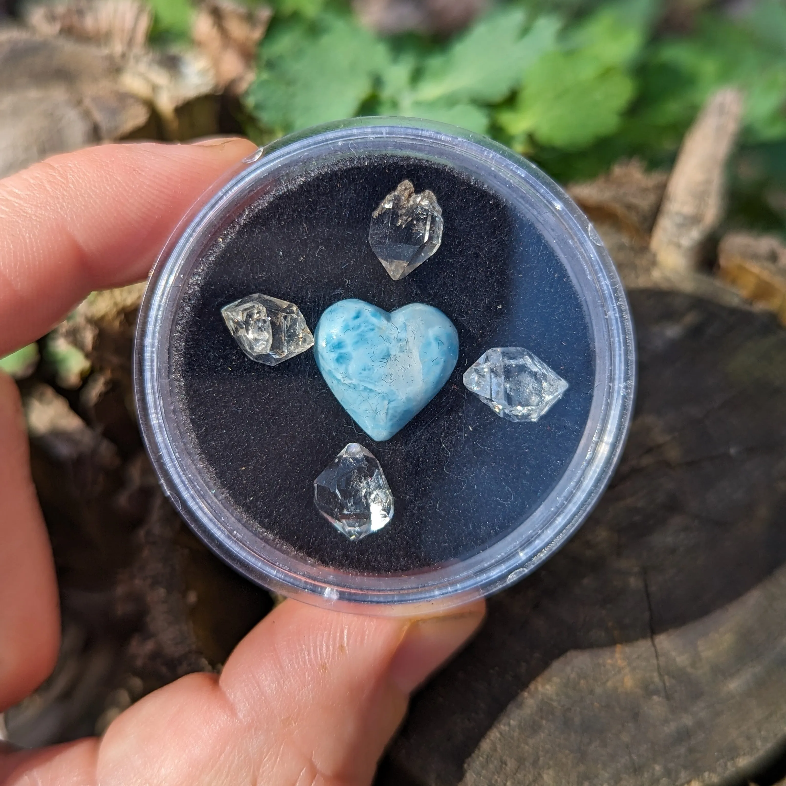 Larimar and Herkimer Diamond Natural Crystal set in Collectors Box~ Ethically Sourced in New York & Dominican Republic