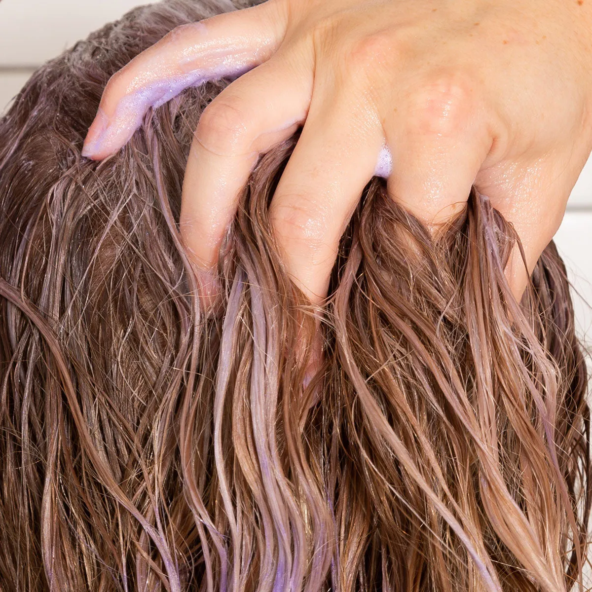 Purple Conditioner Bar for Brassy Blonde and Gray Hair: Tone It Down